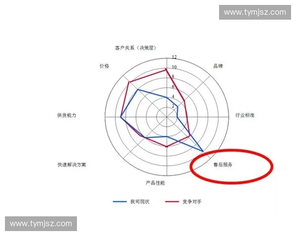 体育品牌战略驱动下的市场竞争力塑造与长期价值增长路径研究