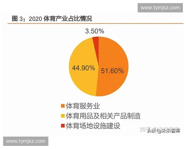全球体育产业投融资趋势分析与未来发展战略深度研究报告标题